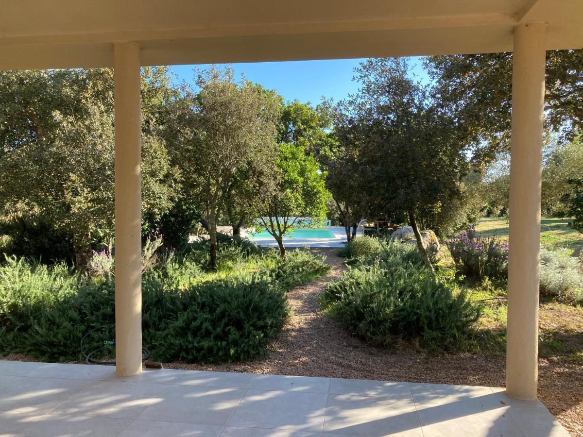 Villa Terra di sole Pianottoli-Caldarello  Esterno foto
